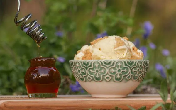 Honeycomb ice cream