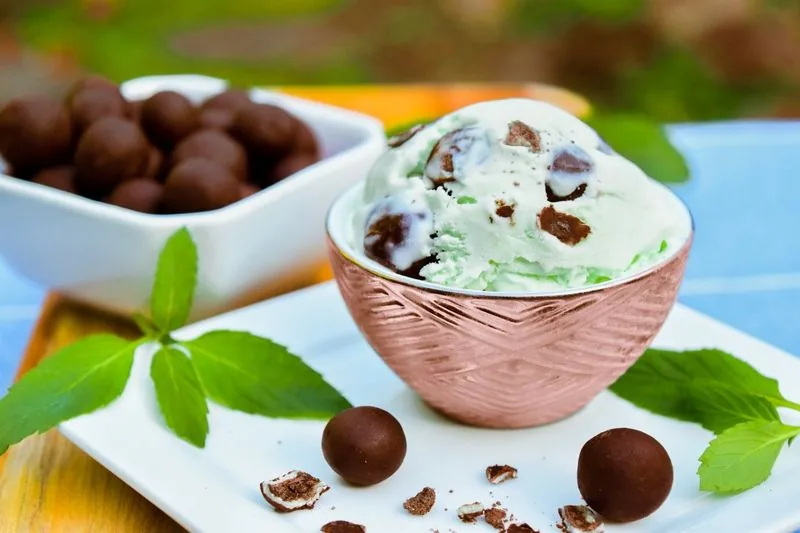 Mint chocolate ice cream with malt balls