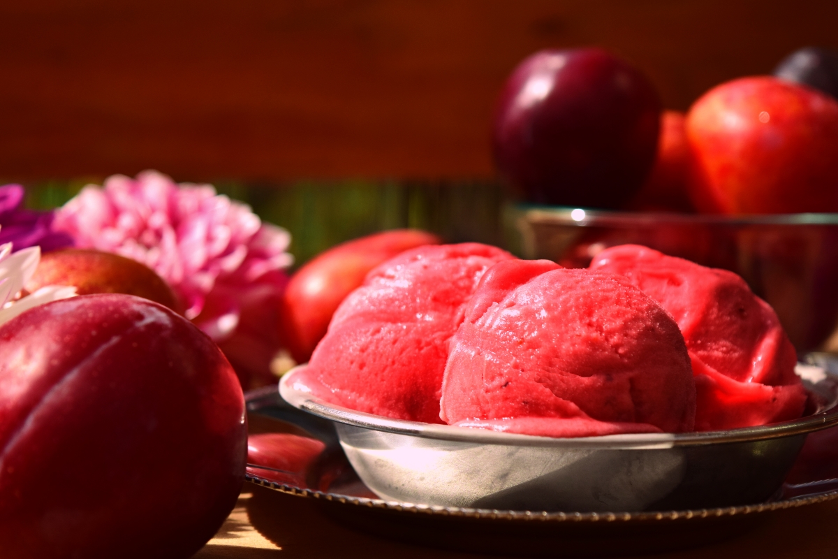 Plum sorbet with fresh plums